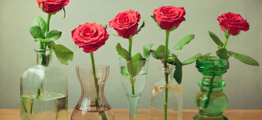 Как продлить жизнь розам в вазе